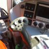 Cockpit gereinigt