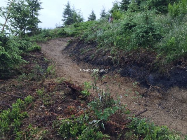 Bikerweg vor Kurve