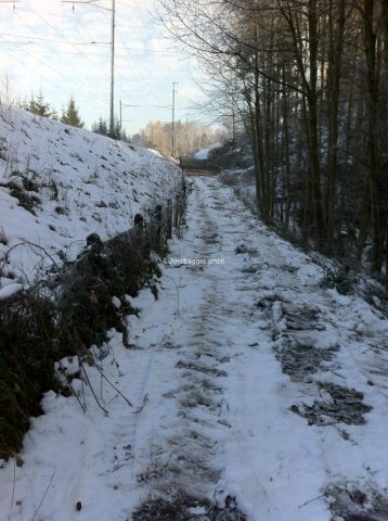 Im Schnee schreiten mit A91