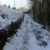 Im Schnee schreiten mit A91