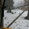 beim schreiten eine Katze in der Wildnis